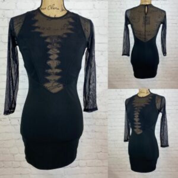 Black Ribbed Bodycon Sheer Plunge Front Back Mini Dress