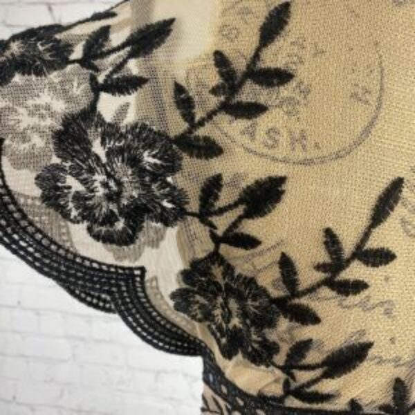 Honey Belle Sheer Nude/Black Embroidered Plunge Front Romper