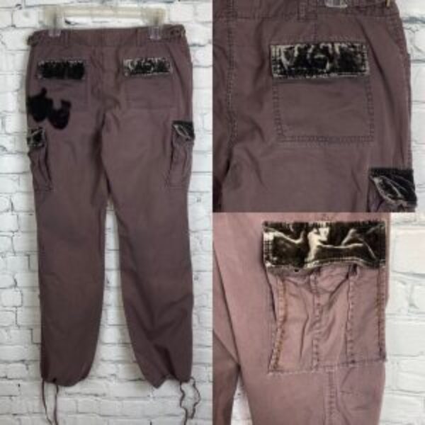 Express Y2K Vintage Velvet/Beaded Cargo Pants